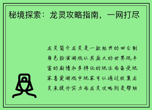 秘境探索：龙灵攻略指南，一网打尽